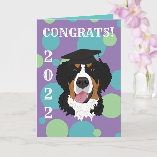 Graduation Bernese Mountain Dog Card (Orchid)