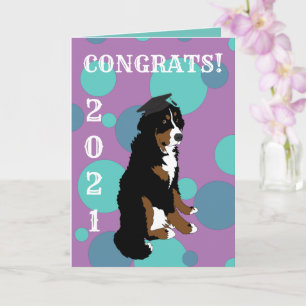 Graduation Bernese Mountain Dog Card