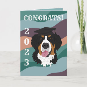Graduation Bernese Mountain Dog Card