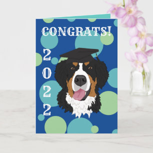 Graduation Bernese Mountain Dog  Card