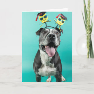 Graduation card