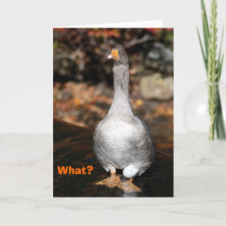 Graduation Card