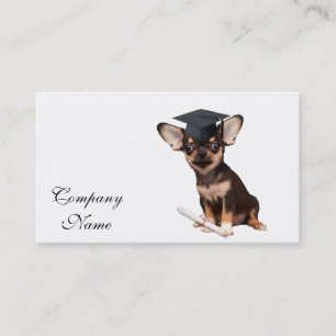 Graduation Chihuahua dog Calling Card
