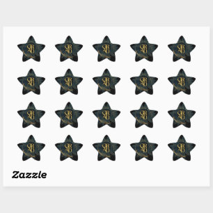 Graduation class of 2024 Script Star Sticker