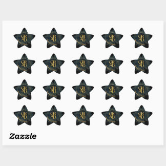 Graduation class of 2024 Script Star Sticker