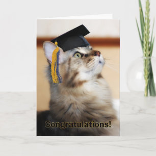 Graduation Congratulations Cat Wearing Mortarboard Card