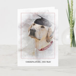 graduation congratulations-Labrador Retriever Card