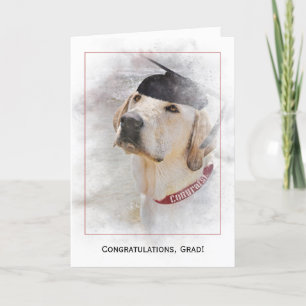 graduation congratulations Labrador Retriever Card