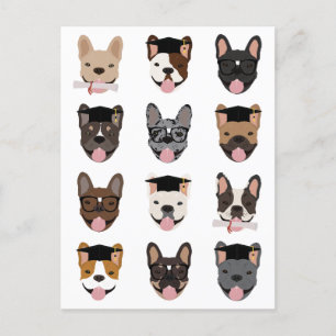 Graduation French Bulldog Faces Postcard
