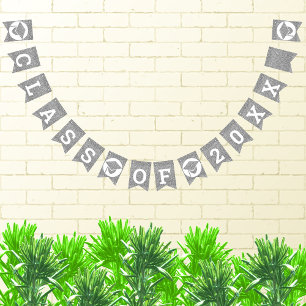 Graduation Glam Silver Create Your Class Of Bunting