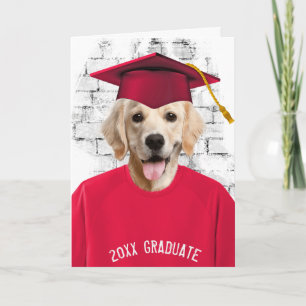 graduation golden retriever in red t-shirt card