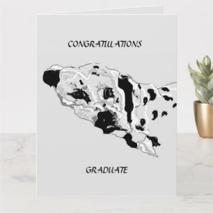 Graduation Greeting card : Dalmatians