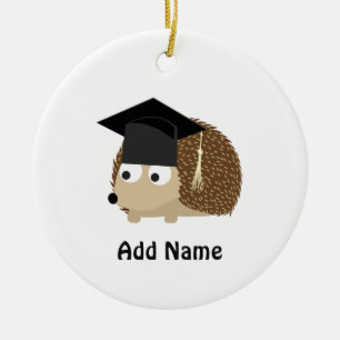 Graduation hedgehog ceramic tree decoration
