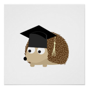 Graduation hedgehog poster