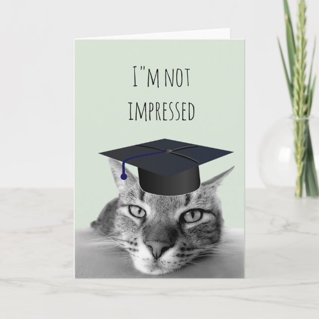 Graduation Not Impressed Angry Cat Humour Card (Front)
