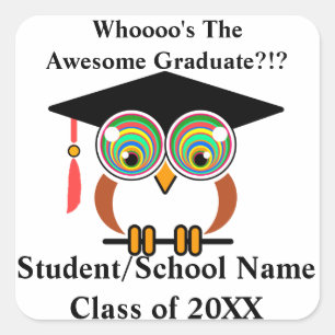 Graduation Owl Fun, Colourful, Personalise for Fre Square Sticker