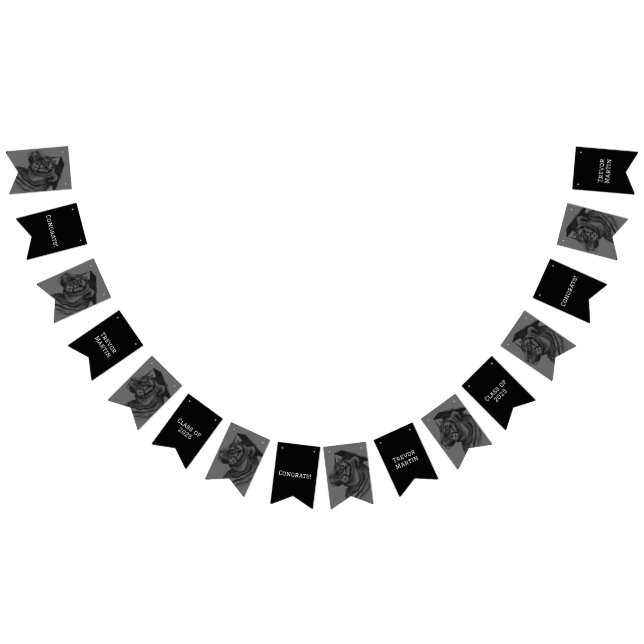 Graduation Party Bunting Flags (All)