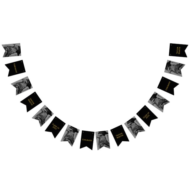 Graduation Party Bunting Flags (All)