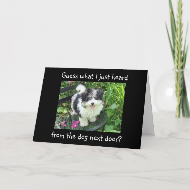 GRADUATION WISHES FROM THE DOG NEXT DOOR CARD (Front)