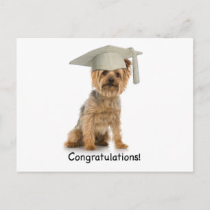 Graduation Yorkie Congratulations Announcement Postcard