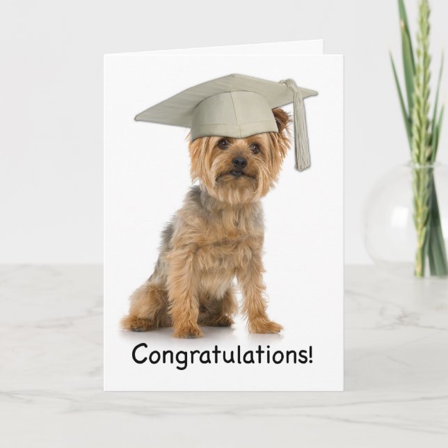 Graduation Yorkie Congratulations Card (Front)