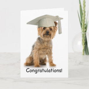 Graduation Yorkie Congratulations Card