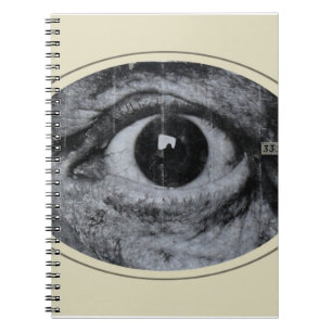 Graffiti Eye Notebook