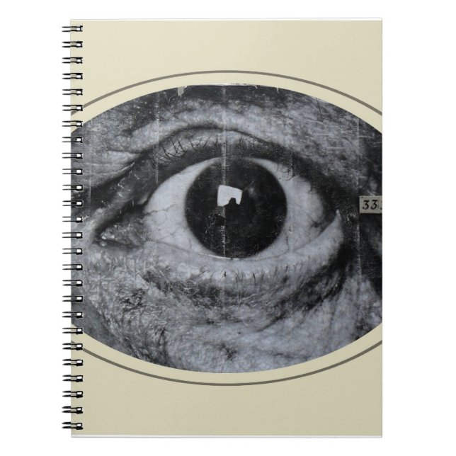 Graffiti Eye Notebook (Front)