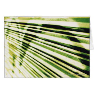 Graffiti on a shutter