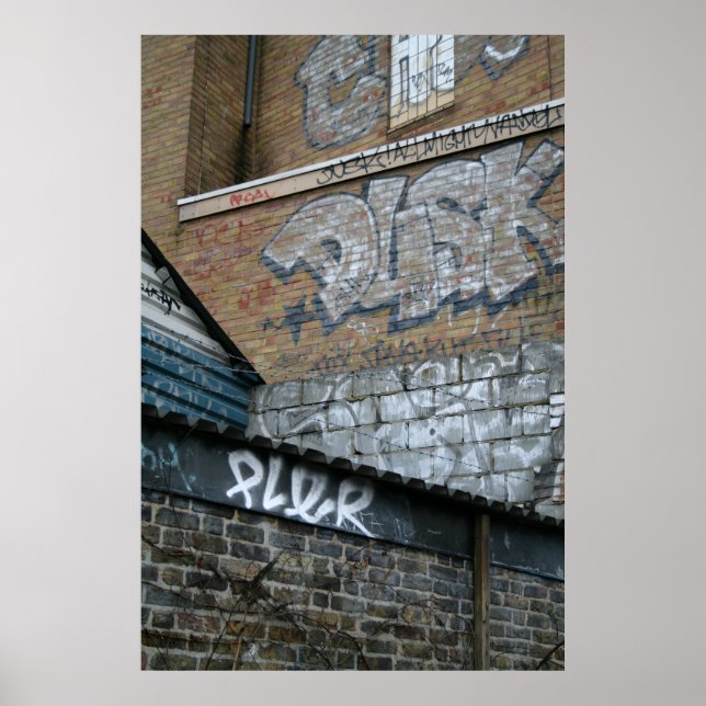 Graffiti On Walls Poster (Front)