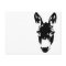 Graffiti Style Donkey or Mule Street Art Drawing