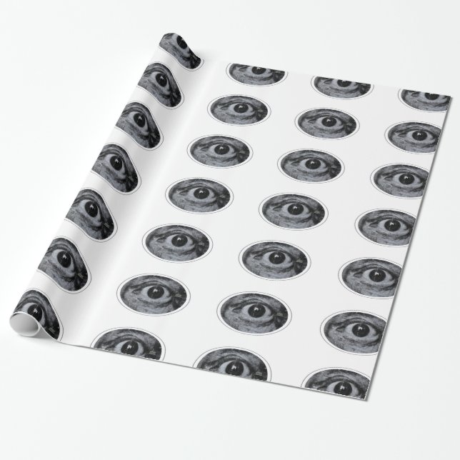 Grafitti Eye Wrapping Paper (Unrolled)
