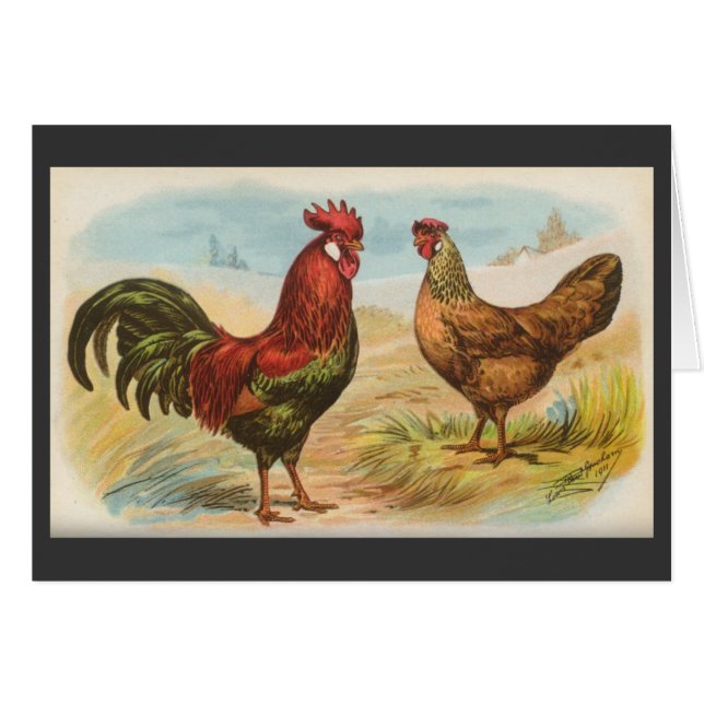 Graham - Leghorn Chickens (Front Horizontal)