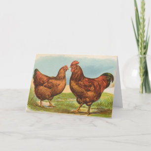 Graham - Rhode Island Red Chickens Card