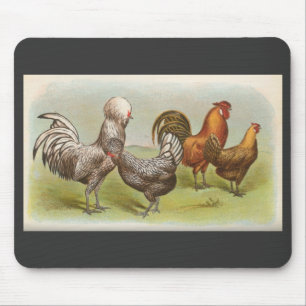 Graham - Silver Polish & Golden Penciled Hambu Chi Mouse Mat