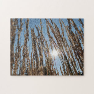 Grain Corn Field Harvest Sun Beautiful Farm Photo Jigsaw Puzzle