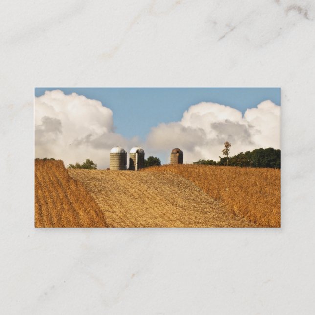 Grain Market Business Card (Front)