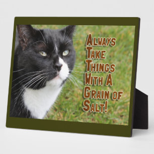 Grain of Salt Cat Advice Plaque