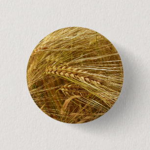Grains of wheat in the field.  It’s Harvest Time!  3 Cm Round Badge