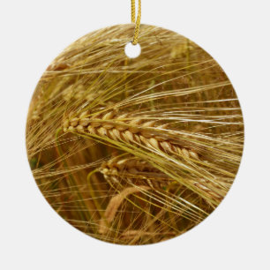 Grains of wheat in the field.  It’s Harvest Time!  Ceramic Tree Decoration