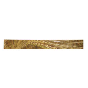 Grains of wheat in the field.  It’s Harvest Time!  Satin Ribbon