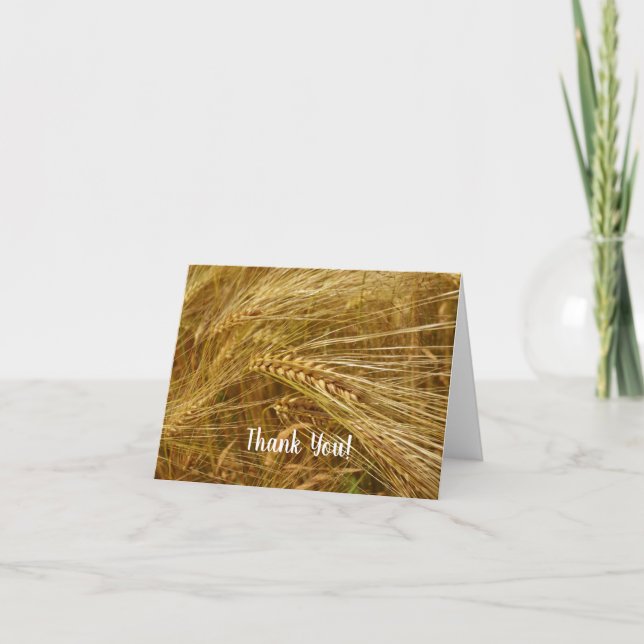 Grains of wheat in the field.  It’s Harvest Time! Thank You Card (Front)