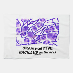 Gram-Positive Bacillus anthracis (Bacteria) Tea Towel