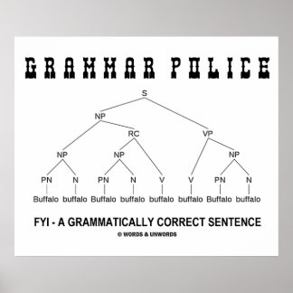 Grammar Police (Buffalo 8 Times Correct Sentence) Poster