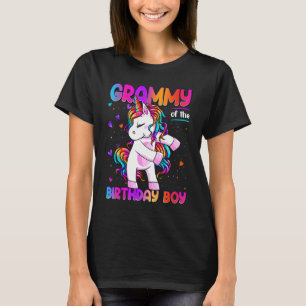 Grammy of the Birthday Party Boy Matching Family V T-Shirt