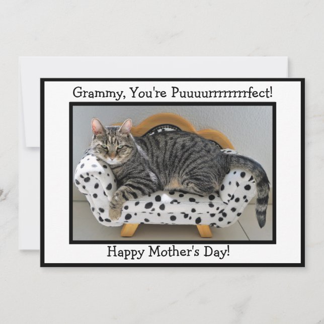 Grammy, You're Puurrfect! Tiger Cat Mother's Day Holiday Card (Front)