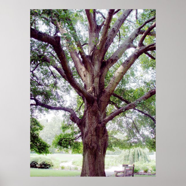 Grand1 Poster (Front)