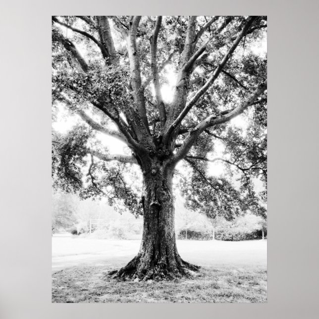 Grand2 Poster (Front)