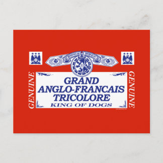 Grand Anglo-Francais Tricolore Postcard