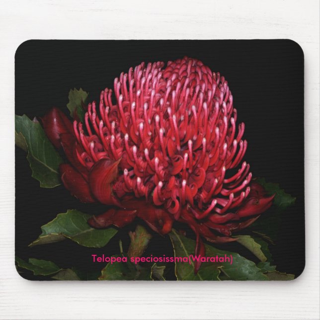 Grand Aussie Lady Mouse Mat (Front)